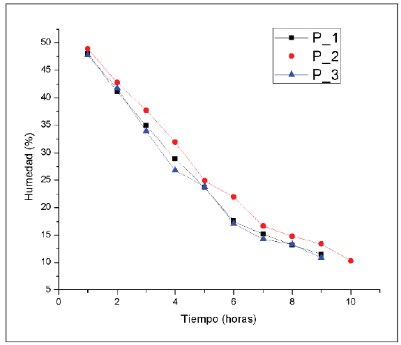 Pruebas de secado de caf&eacute;.