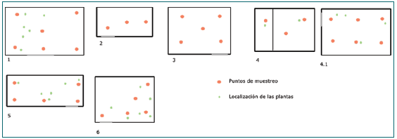 UBICACI�N DE LOS ARREGLOS ORNAMENTALES Y DE LOS PUNTOS DE MUESTREO: (1) OFICINA 5-103 (ARREGLO ORNAMENTAL 2); (2) OFICINA 6-106 (PUNTO DE CONTROL); (3) OFICINA 1-303 (PUNTO DE CONTROL); (4 Y 4.1) OFICINA 1-101 SEGUNDO Y PRIMER PISO, RESPECTIVAMENTE (ARREGLO ORNAMENTAL 1); (5) OFICINA 1-114 (ARREGLO ORNAMENTAL 1) Y (6) OFICINA 3-108 (ARREGLO ORNAMENTAL 2).