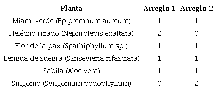 ARREGLOS ORNAMENTALES INSTALADOS