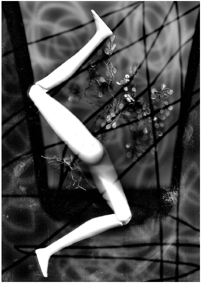 En circulaci&oacute;n