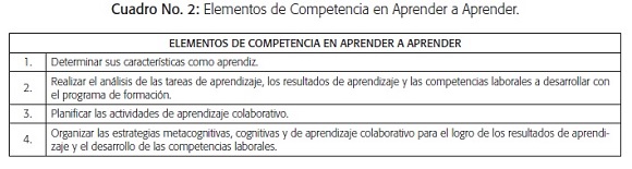 Elementos de la competencia en aprender a aprender