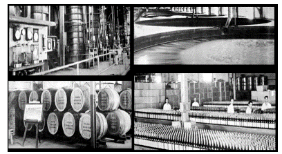 Nueva licorería de JASA, planta, fermentadoras, bodega y embotelladora, 1954