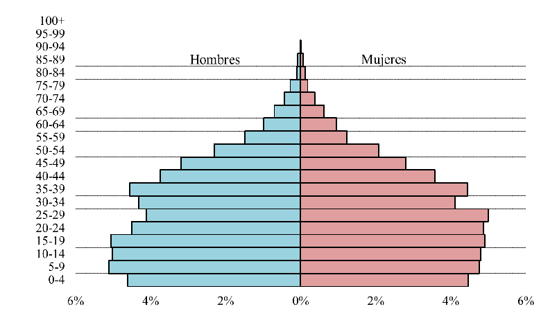 Distribución por edad y
sexo de la población censada