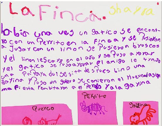 Narrativa de sobre su territorio. Villa Rica (Cauca), mayo de 2019.