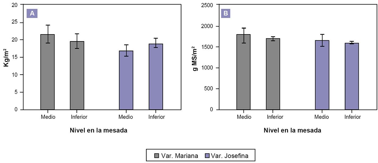 Produccin total de A) forraje verde hidropnico y B) biomasa total producida de dos variedades de cebada (Hordeum vulgare) cosechadas a los 15 das en dos niveles diferentes de luz (medio e inferior) en la batea de produccin en un invernadero en la localidad de Ro Gallegos, Santa Cruz. Las barras verticales indican el desvo estndar de las medias.