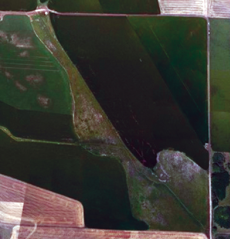 Agricultura de precisin en el establecimiento rural.