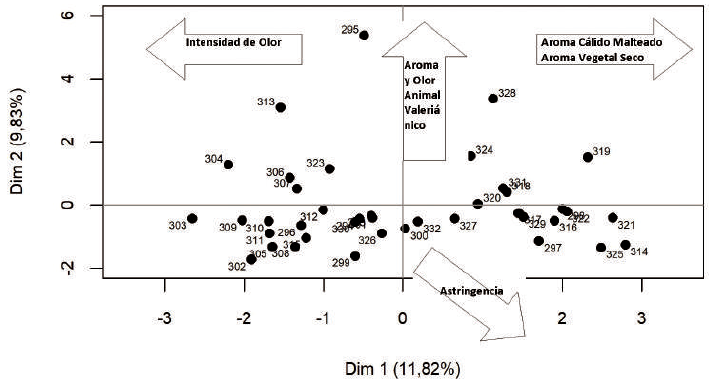AFM, plano principal de individuos.