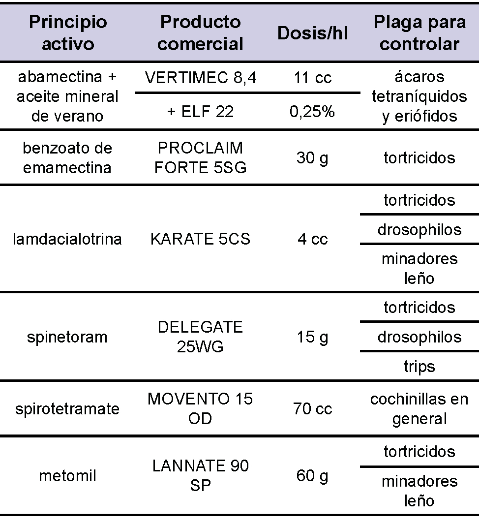 Tabla
2