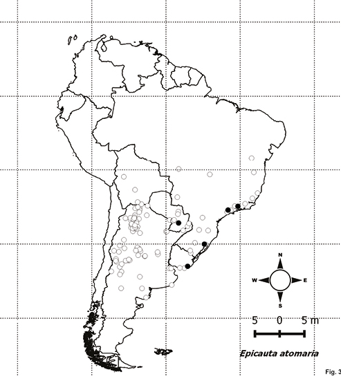 Figura 3