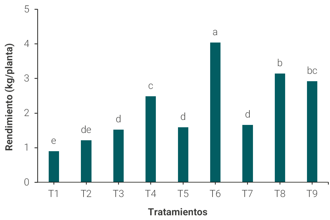 Figura 2