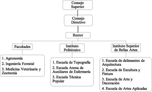 Estructura curricular de la Universidad del Tolima para el año de 1962.