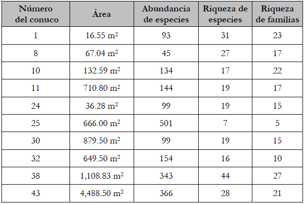 Ejemplos de la relación del área de los conucos, su abundancia y su riqueza