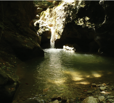 Charco de Tamar� cerca de La Jaiba, provincia. Puerto Plata. Rep�blica Dominicana.