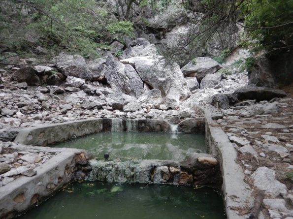 Manantial de La Zurza en B�nica.