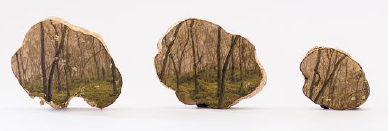 Eugenia Picado Maykall. Serie Los
Sue&ntilde;os. Transferencia de soluci&oacute;n de Super Sauce sobre madera de caf&eacute; cortada en galleta, 2015, 11x11 cm,
11x10 cm, 8x6 cm.