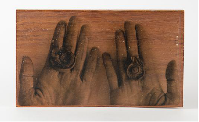 Eugenia Picado Maykall. Serie Los
Sue&ntilde;os. Transferencia en blanco y negro de gelatina transparente con goma
blanca sobre madera de gavil&aacute;n, 2015, 23x13.5 cm.