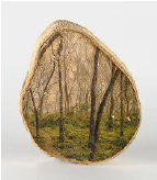 Eugenia Picado Maykall. Serie Los Sue&ntilde;os. Transferencia de Super Sauce sobre madera de melina, 2015,
14x17 cm.