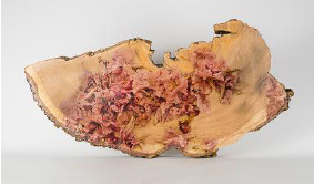 Eugenia Picado Maykall. Serie Los Sue&ntilde;os. Transferencia de gelatina
transparente con medio de pol&iacute;mero sobre madera de gravilia,
2015, 61x29 cm.