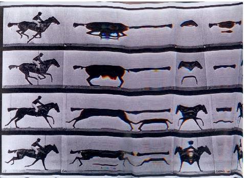 Hortensia M&iacute;nguez (2016) Caballo en movimiento. Xerograf&iacute;as de la serie Eadweard Muybridge.