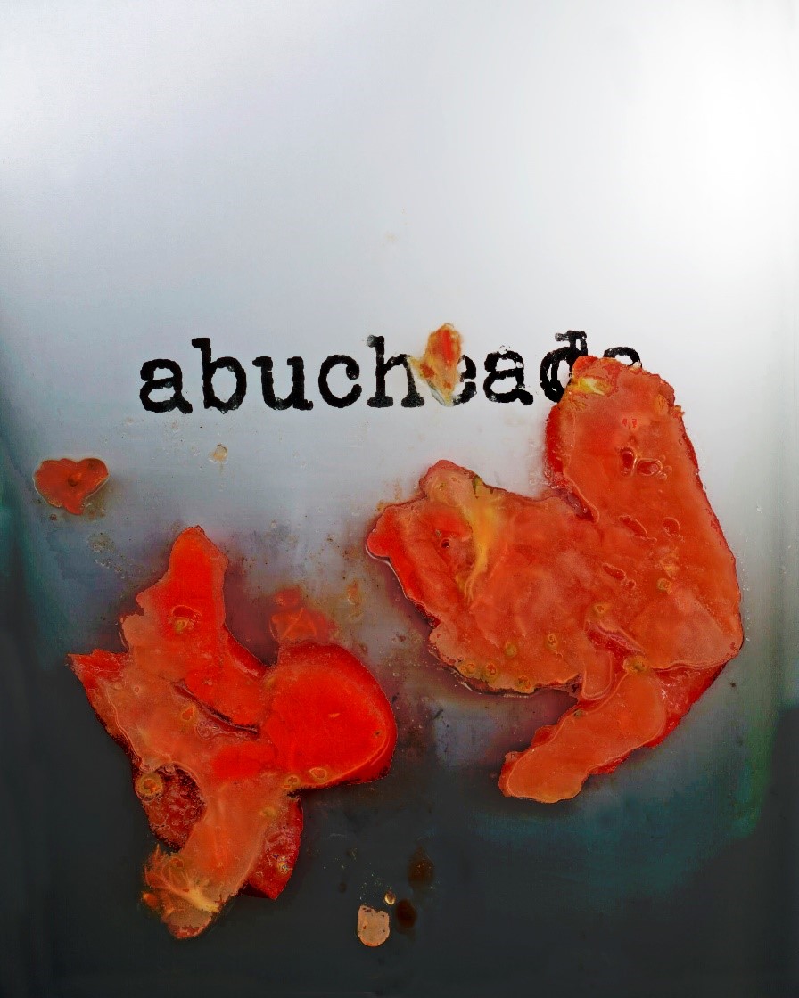 Hortensia M&iacute;nguez, &ldquo;Abucheada&rdquo;, (2016) Poes&iacute;a visual.