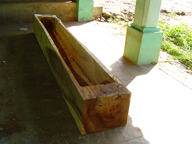 Madero de Parota escarbado para el baile de tabla (vista interior).