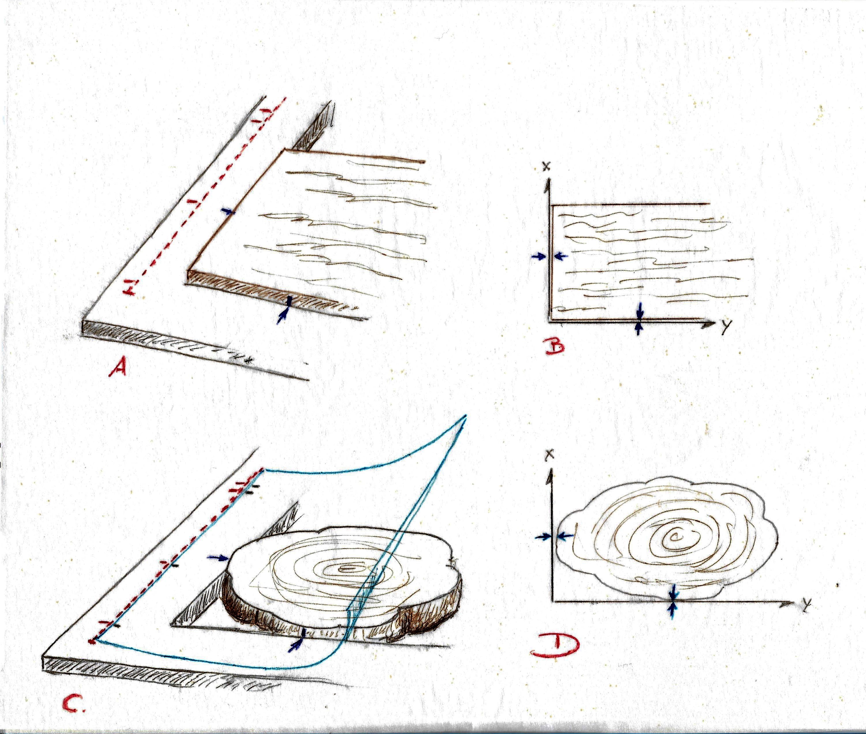 Plantilla de registro
