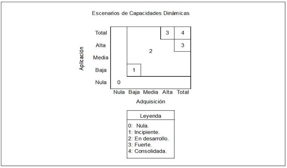 Niveles de capacidad dinámica