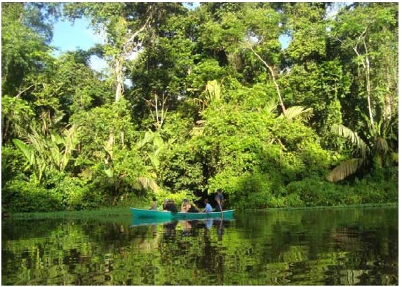Tour de canoas pelos canais de Tortuguero