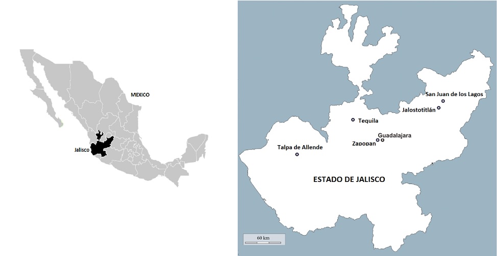 Municipios considerados en la investigaci&oacute;n

 