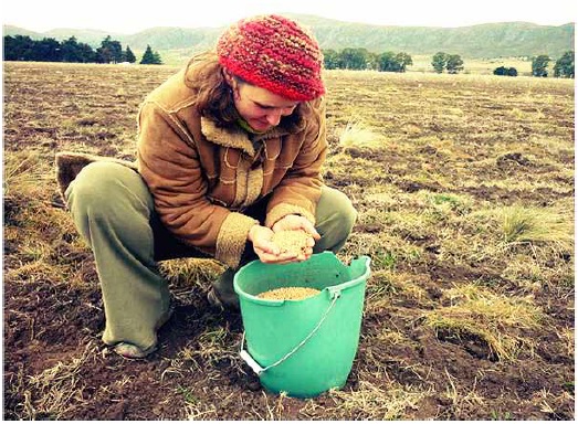 Actividades productivas en Calqu&iacute;n