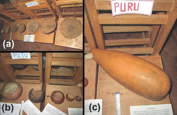 Material tradicional del poblador huamburquino, una comunidad rural del departamento de Apur&iacute;mac &ndash; Per&uacute;, confeccionada a partir del fruto de  plantas de  la familia Cucurbitaceae.