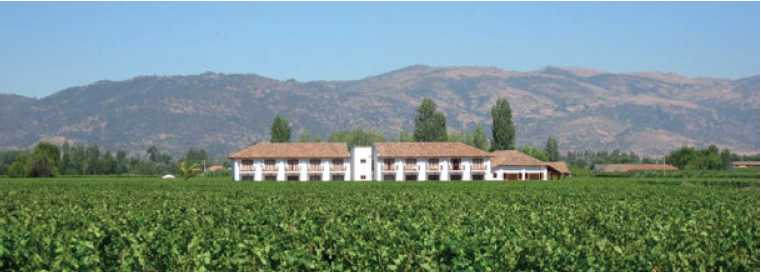 Hotel &ldquo;Terravi&ntilde;a&rdquo; (Colchagua, Chile). Nuevos usos recreativos de los espacios rurales regidos por el consumo visual en t&eacute;rminos de paisaje.