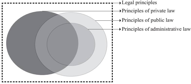 Schematic analogical situation of different kinds of legal principles in the dualism thought