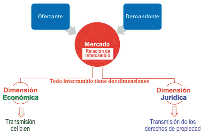 Mercado: relación de intercambio entre ofertante y
								demandante.