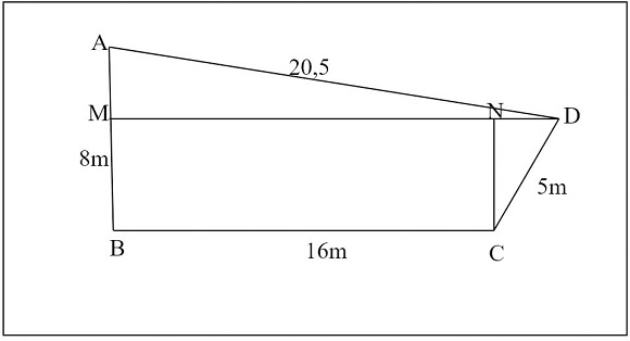 Divis&atilde;o da figura irregular