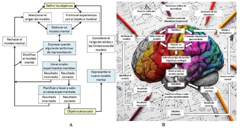 Evolución del Ciclo de Modelización tradicional hacia el Ciclo de Aprendizaje Basado en Modelización Neurodidáctica