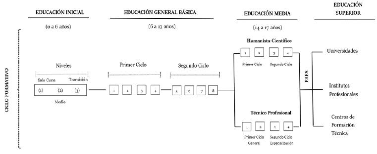 Estructura y Ciclos Curriculares en el sistema educativo