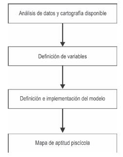 Pasos desarrollados en el proyecto