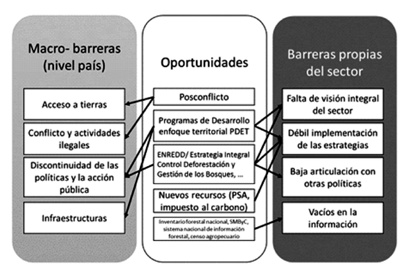 Principales Barreras y oportunidades para el sector forestal