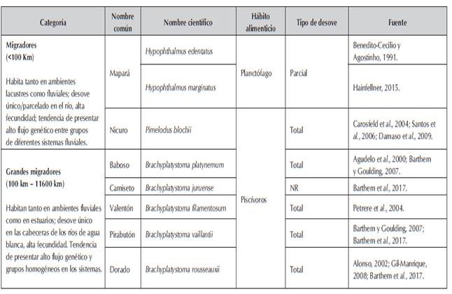 Clasificación de bagres de la familia Pimelodidae con comportamientos migratorios en la Amazonia (Adaptado de Barthem y Fabré, 2003).