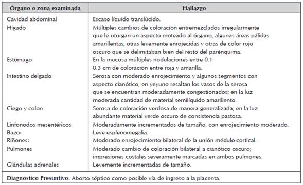 hallazgos anatomopatológicos a la necropsia de un feto abortado proveniente de una yegua Silla Francesa en la ciudad de Bogotá.