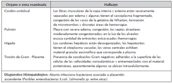 Hallazgos histopatológicos a la necropsia de un feto abortado proveniente de una yegua Silla Francesa en la ciudad de Bogotá.