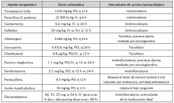 Tratamiento farmacológico de placentitis en yeguas