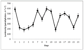 Luminosity fluctuations in the greenhouse where biomass production of N. muscorum on a solid substrate within the hydroponic system was helded