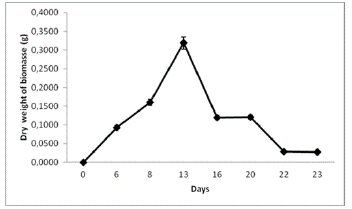 Biomass production of N. muscorum on a solid substrate within the hydroponic system.