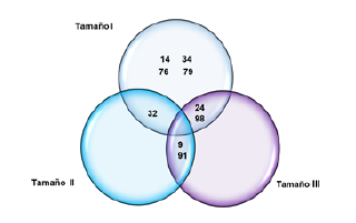 An&aacute;lisis de expresi&oacute;n de bandas de prote&iacute;nas de fluido folicular (peso molecular) presentes en el perfil electrofor&eacute;tico en cada tama&ntilde;o de fol&iacute;culo.