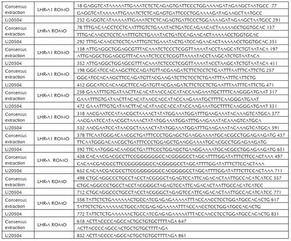 Comparación entre la secuencia de la región codificante del fragmento LHR-A RS y la secuencia de referencia Bos taurus U20540 del Genebank. Identities = 630/630 (100%), Gaps = 0/630 (0%).Software Genious R8.