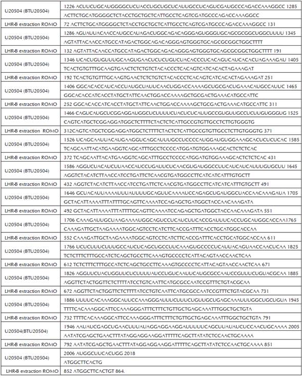 Comparación entre la secuencia de la región codificante del fragmento LHR-B RS y la secuencia de referencia Bos taurus U20540 del Genebank. Identities = 792/2413 (32%), Gaps = 1620/2413 (67%).