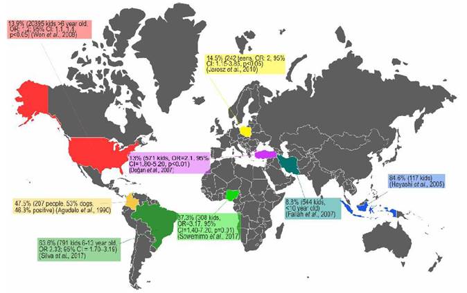 Several prevalence studies of T. canis infection in human population and epidemiological association with the presence of dogs. OR. Odds Ratio, CI. Confidence Interval.