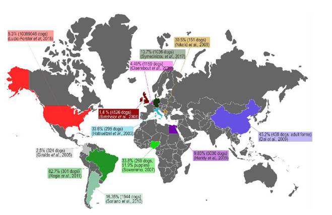 Several prevalence studies of T. canis infection in canine populations.